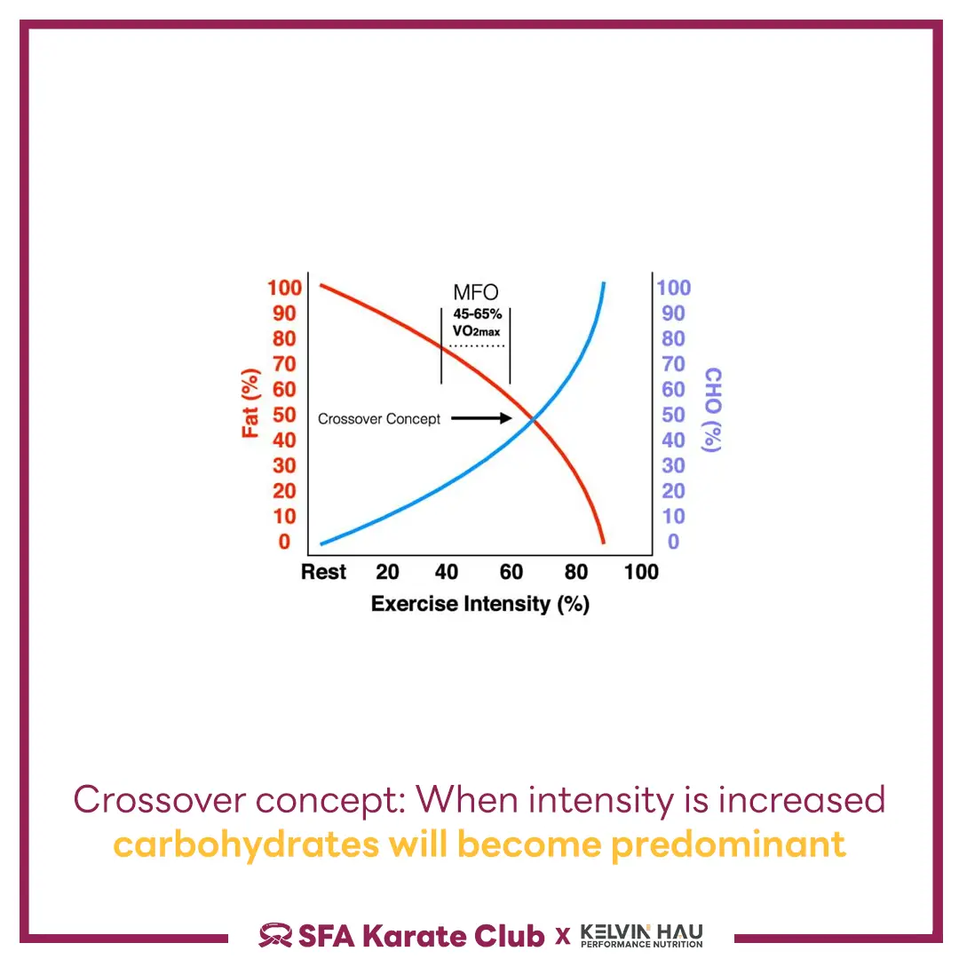 Carbohydrates & Performance — image 3 of 6
