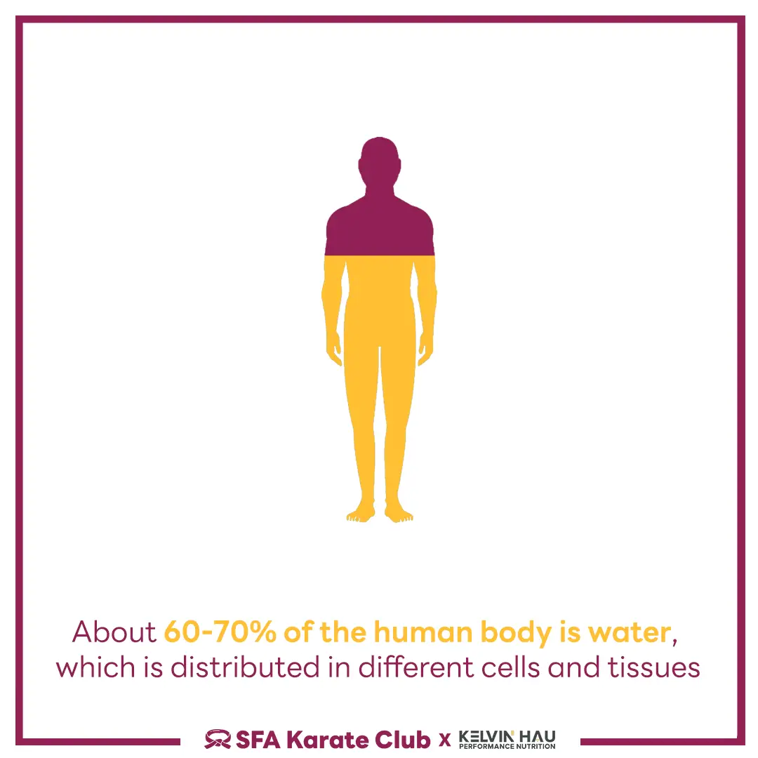 Hydration & Performance — image 3 of 8