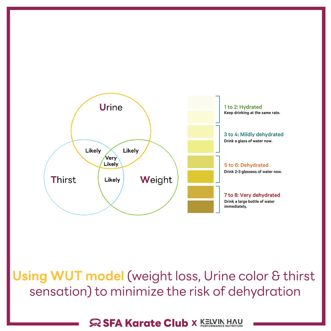 Hydration & Performance — image 5 of 8