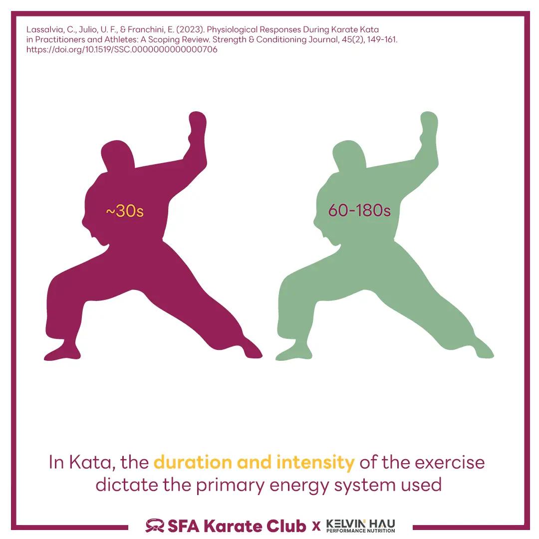 Energy System of Karate — image 7 of 7