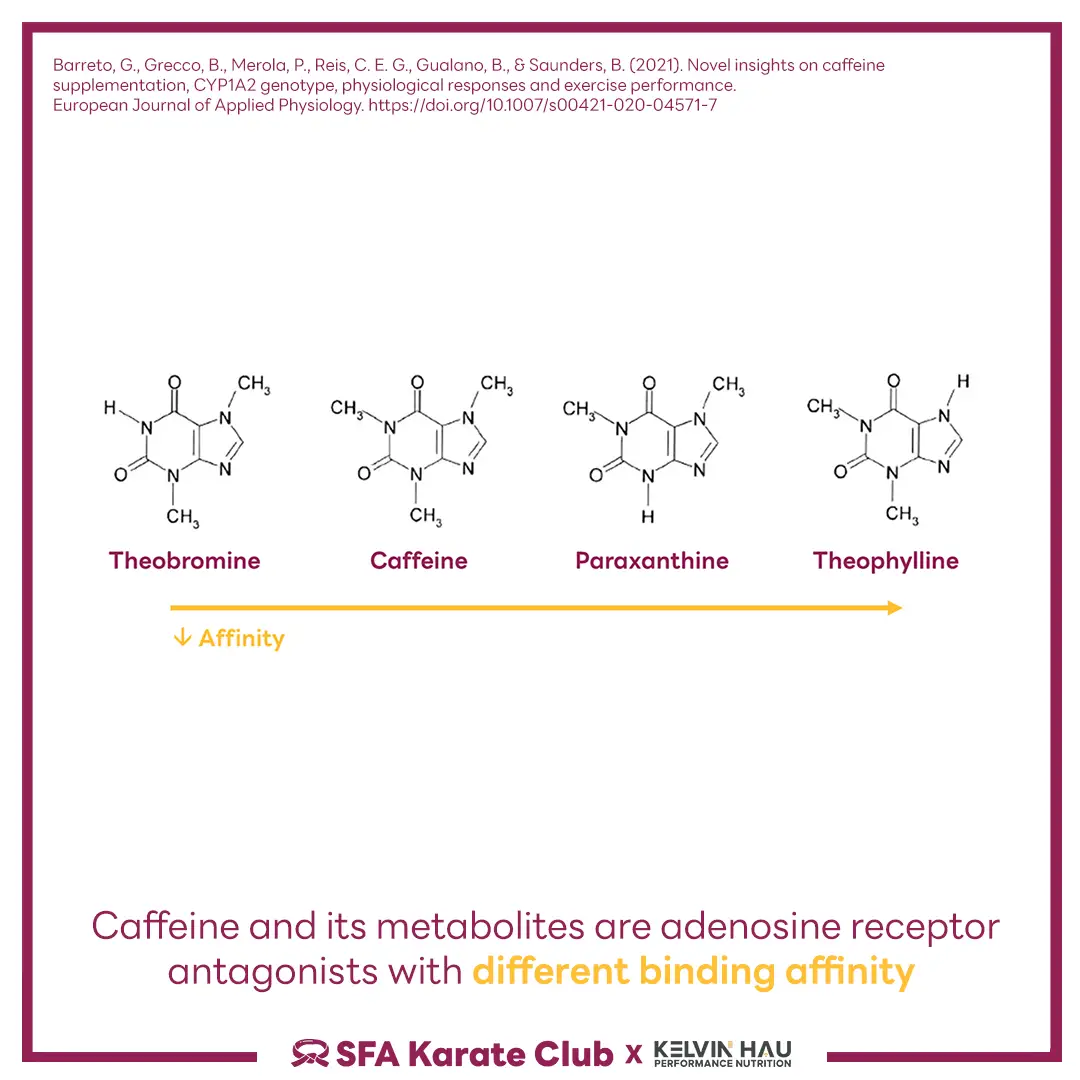 Gene & Caffeine Metabolism — image 3 of 9