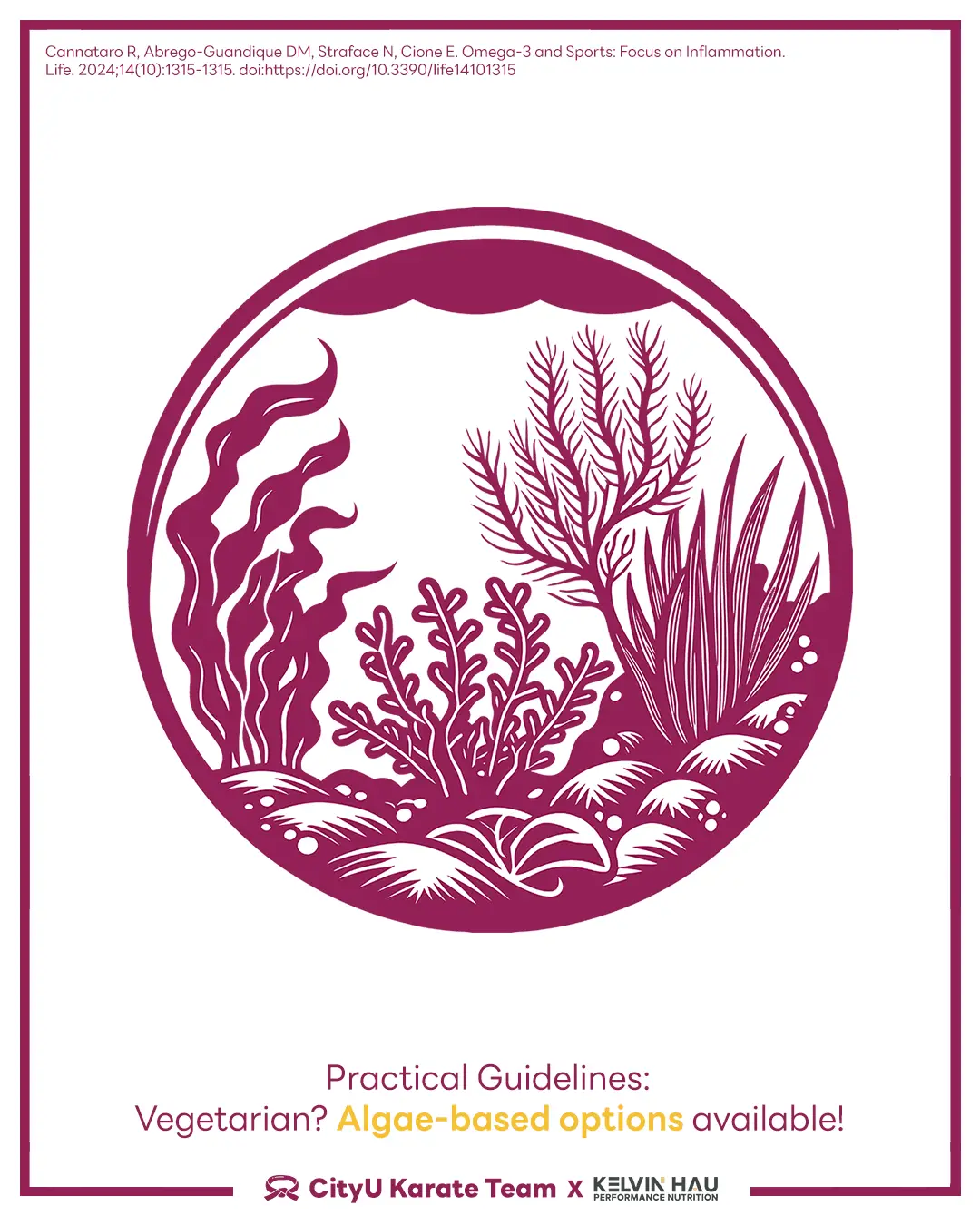 Omega-3 & Combat Sports Athletes — image 10 of 14