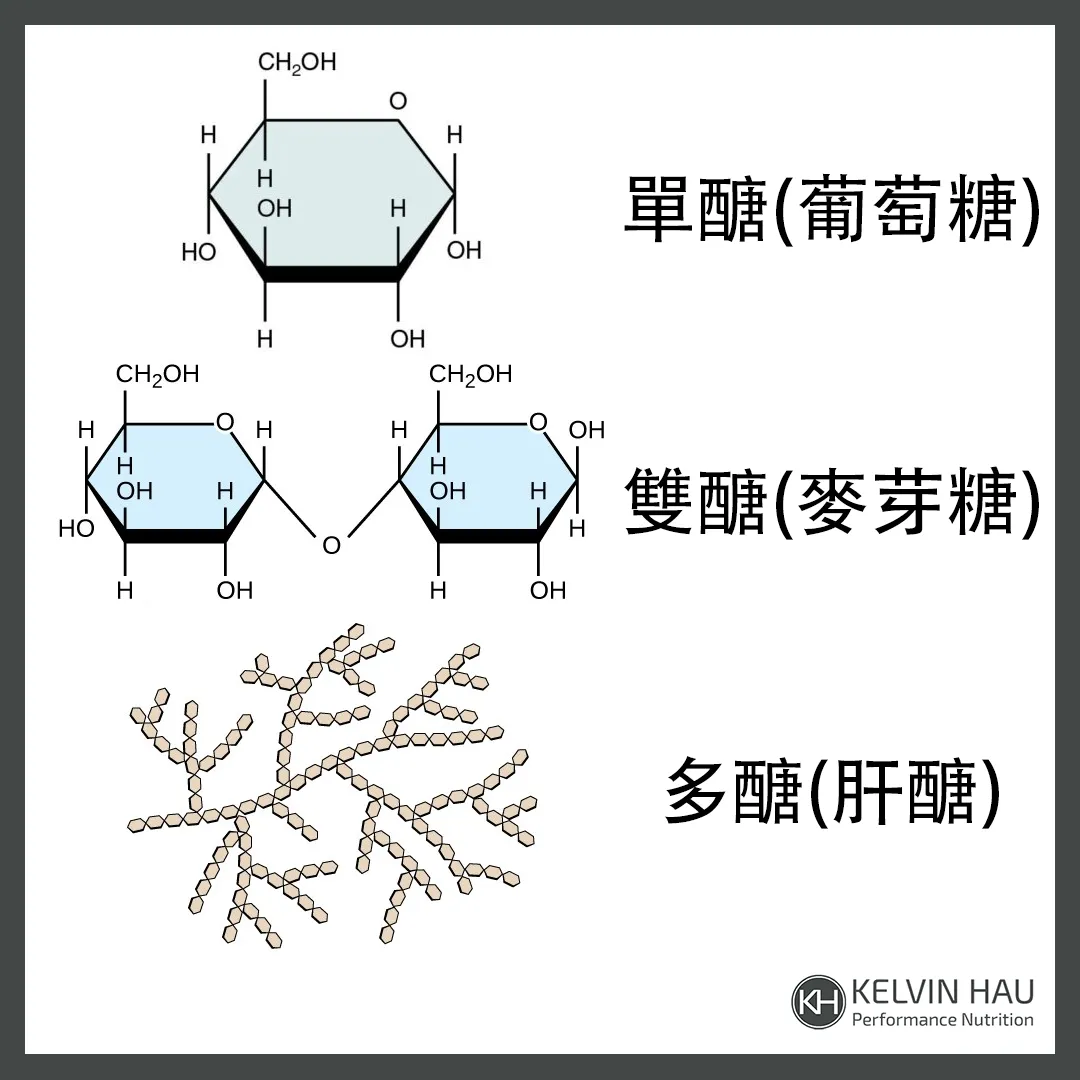 營養101: 碳水化合物 — image 2 of 2